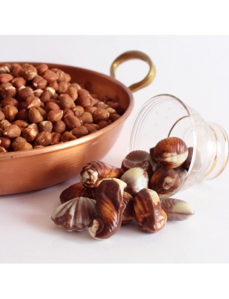Guylian Original Seashells Fındık Pralinli Belçika Çikolatası 65 Gr