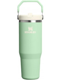 Stanley IceFlow Flip Straw Tumbler Pipetli Termos 0.89L Yeşil
